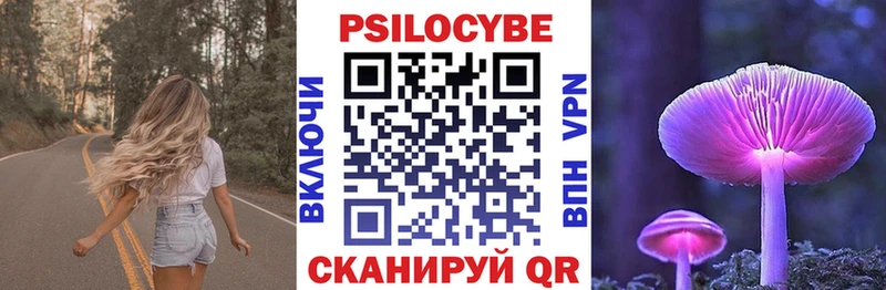 купить закладку Суджа Псилоцибиновые грибы прущие грибы